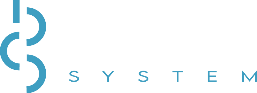 logo Borea sYSTEM